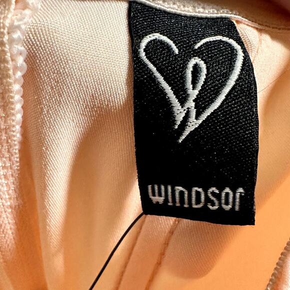 Windsor Blush Pink Corset Tulle Satin Dress Sz S NWt - Picture 6 of 9